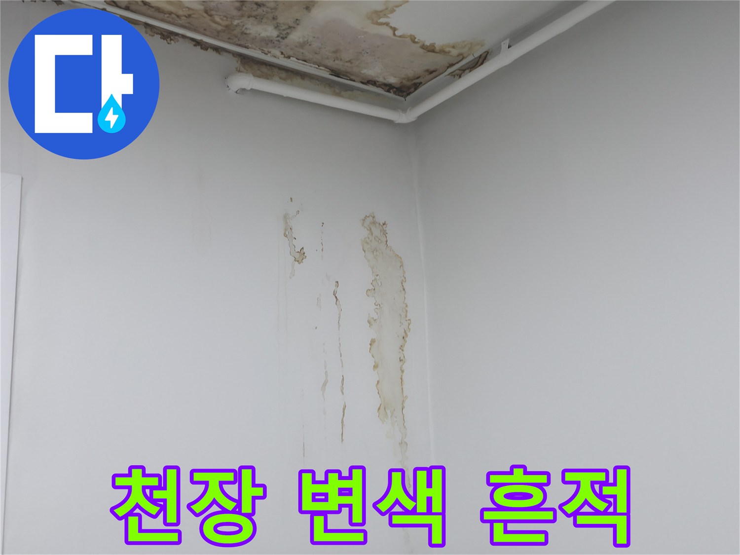 노원구 중계동 현장-천장 벽면의 누수 변색 및 곰팡이 발생 상태