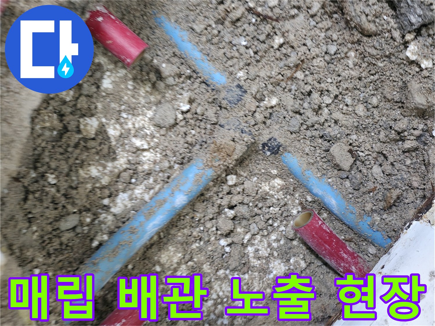 바닥 흙을 제거하여 드러난 파란색 수도 배관 분기 지점