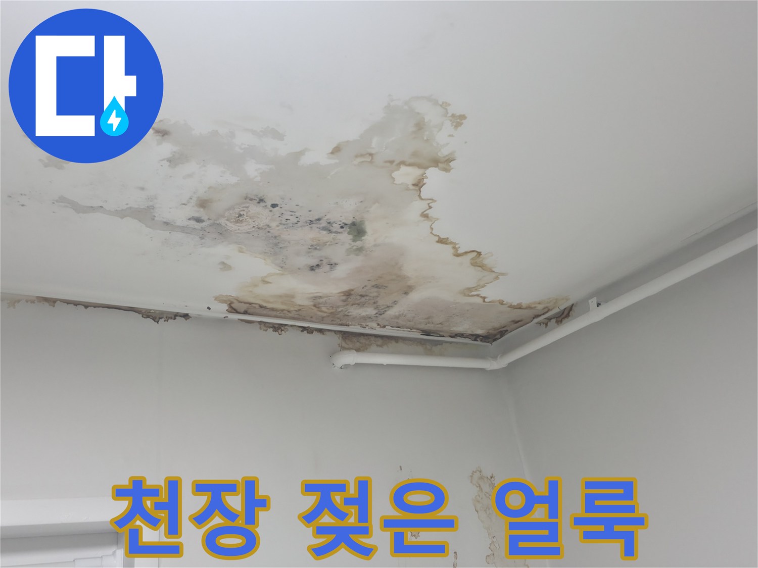 중계동 현장 사진 - 천장 도배지 누수 흔적 및 오염