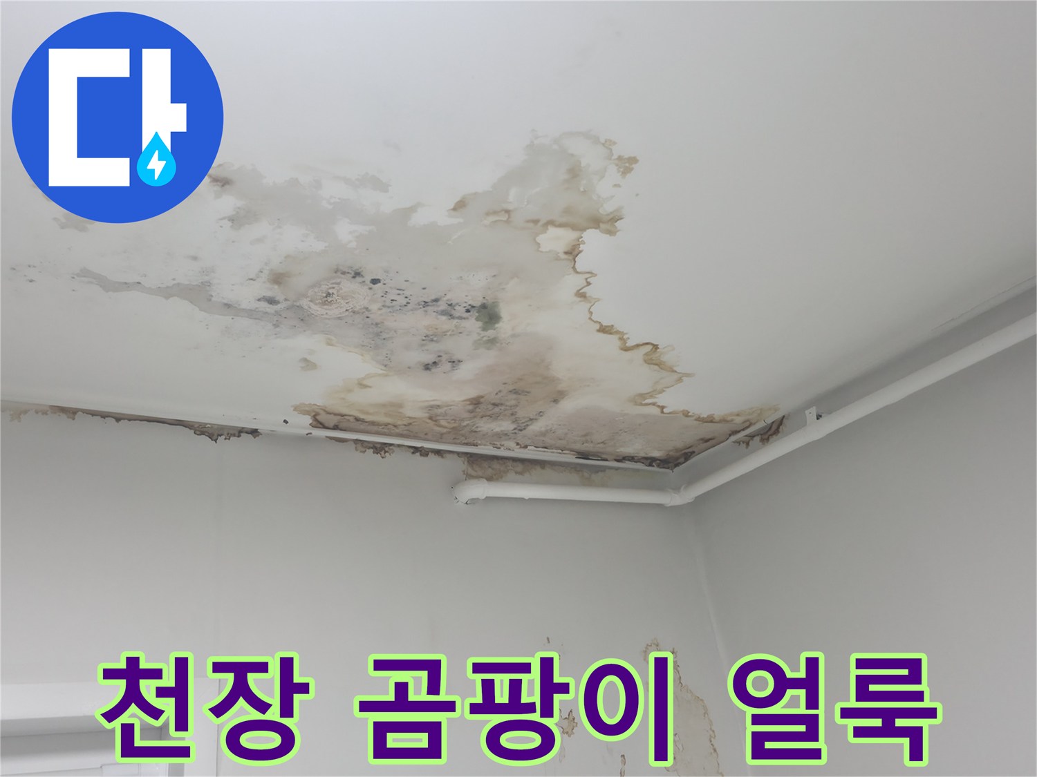 중계동 현장-습기로 인해 변색되고 오염된 천장 마감재