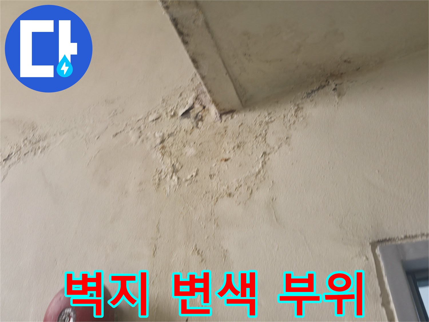 천장 벽지가 젖어 얼룩진 모습