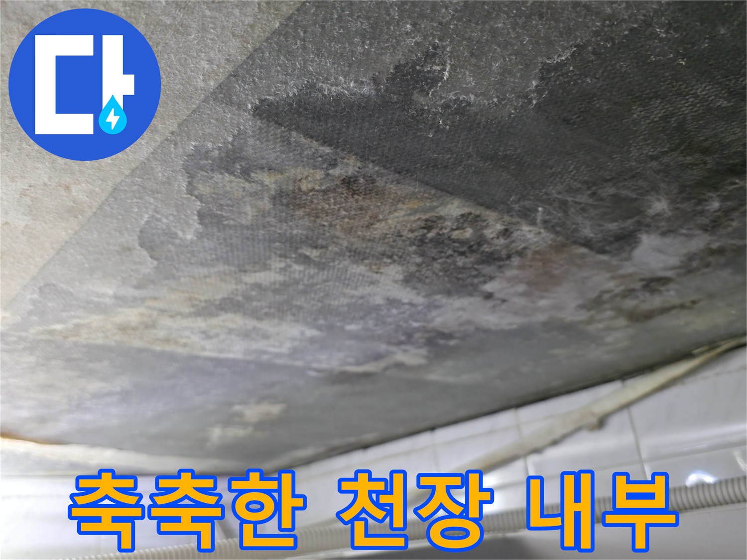 누수 현장 - 습기가 가득 차 검게 오염된 화장실 천장 콘크리트 면
