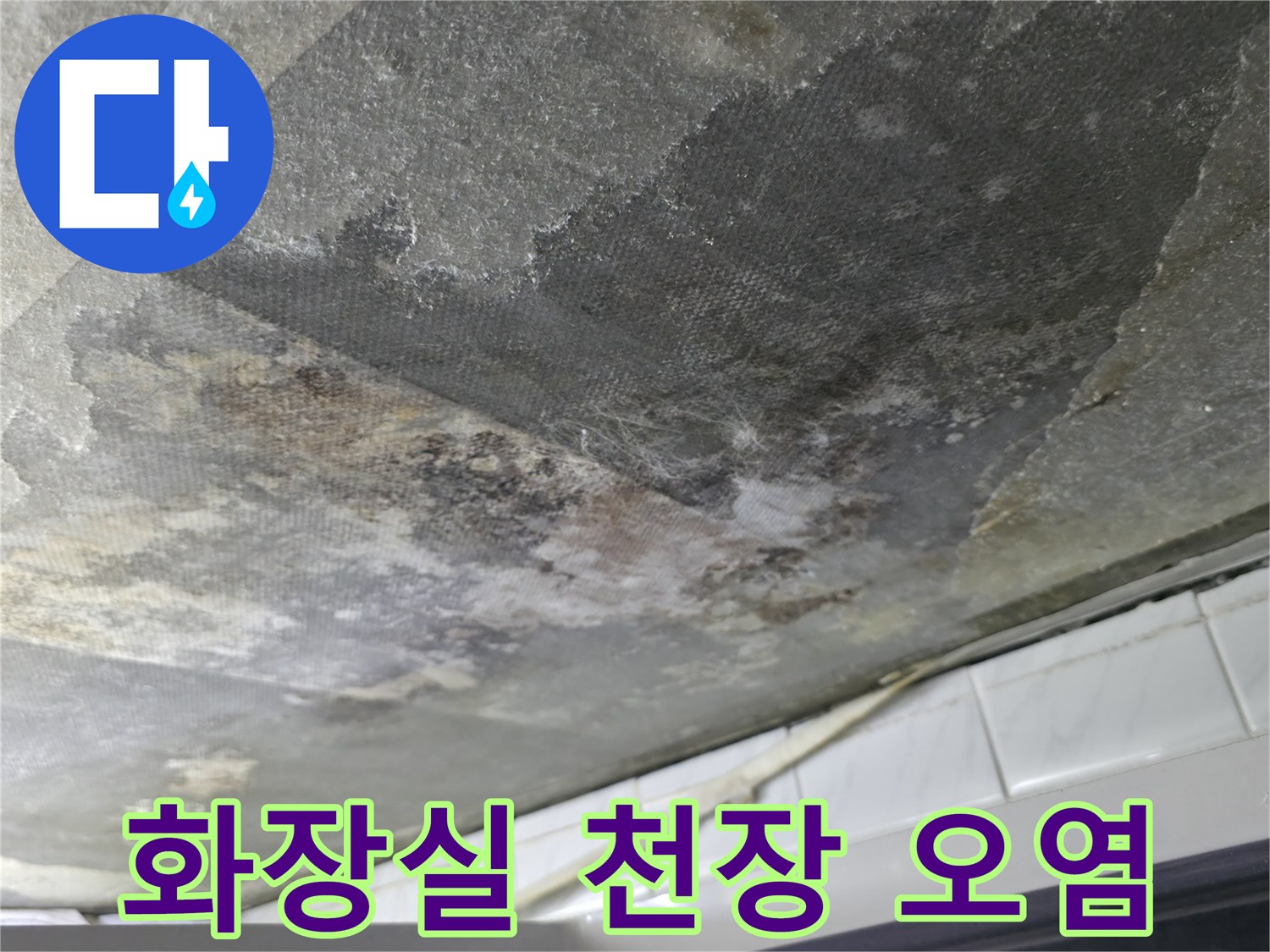 부천-화장실-천장-콘크리트-습기-및-오염-상태