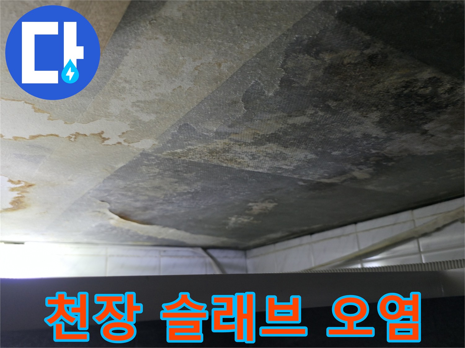 욕실-천장-콘크리트-면의-검은-곰팡이와-습기-흔적