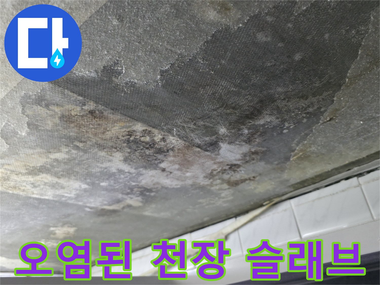 화장실-천장-슬래브-콘크리트-곰팡이-및-습기