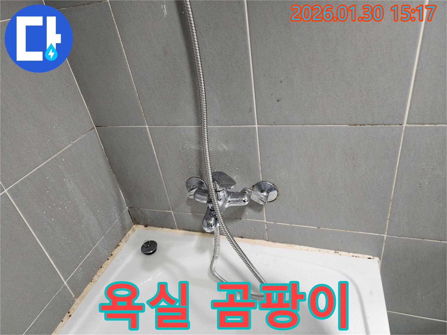 샤워기 수전 주변 곰팡이 - 건강 위협