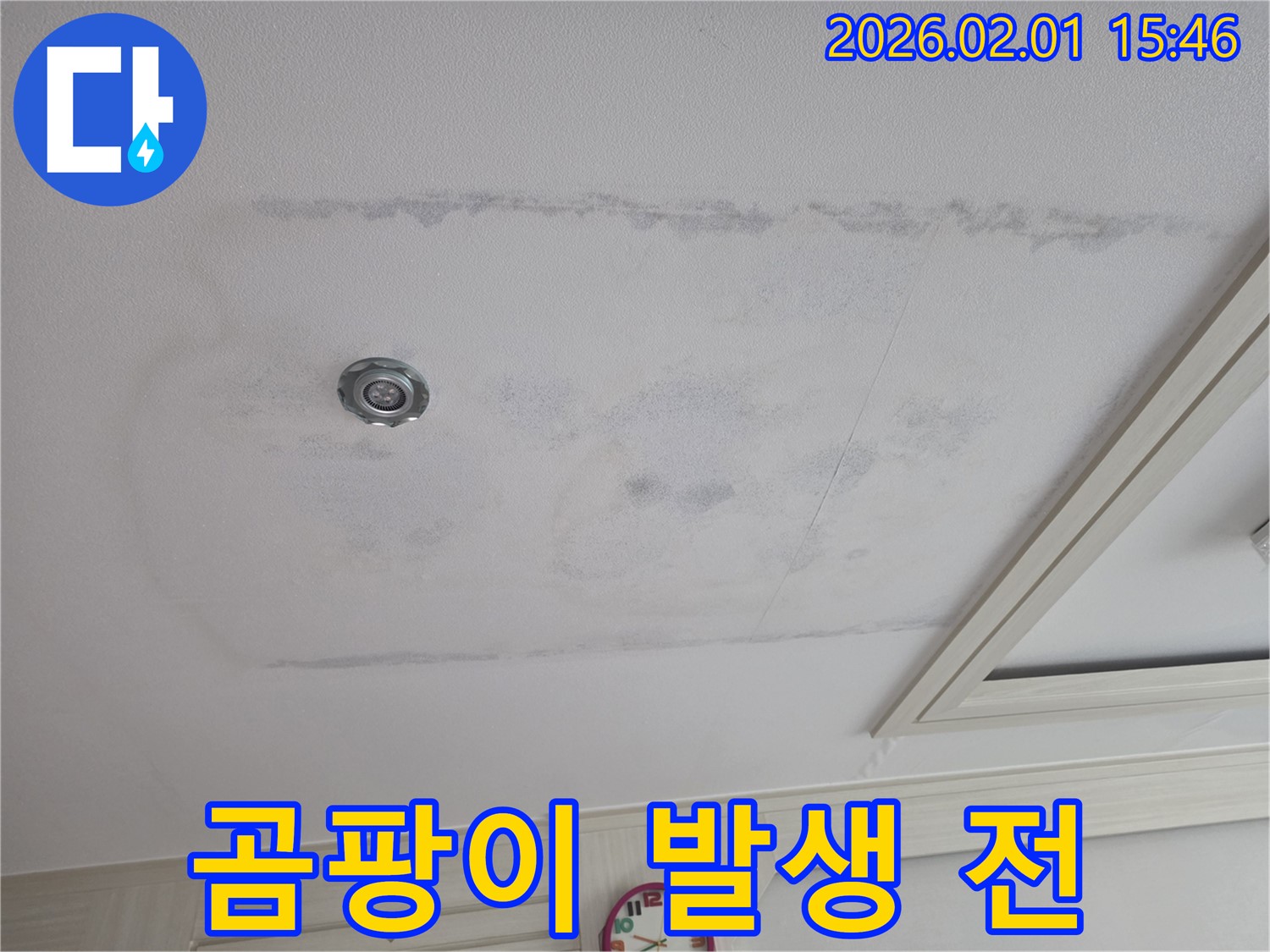 목동 아파트 - 천장 누수, 곰팡이 발생 전에 해결해야