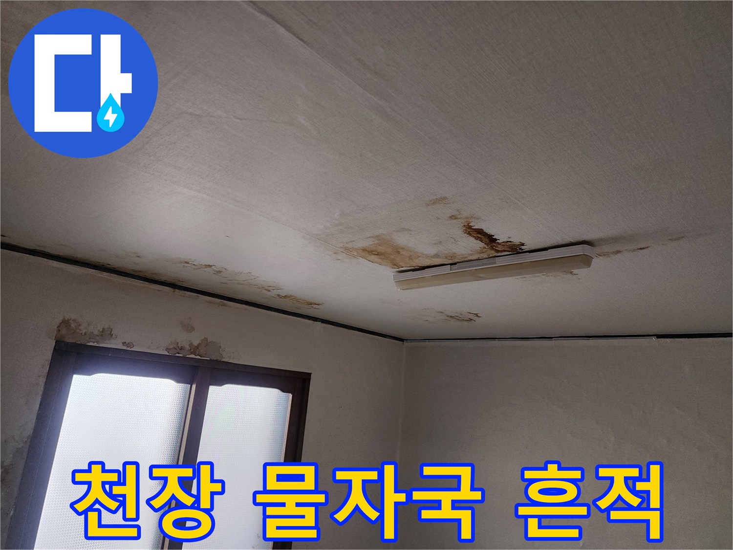 천장 면적 전체에 걸쳐 나타난 누수 피해 부위