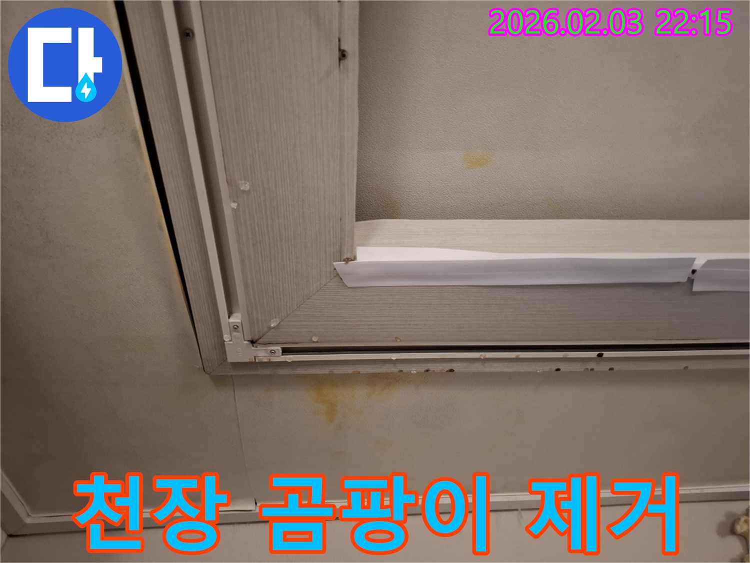 윗집 누수로 인한 천장 곰팡이 제거 및 누수 해결 - 깨끗하게 제거하고 완벽하게 방지!