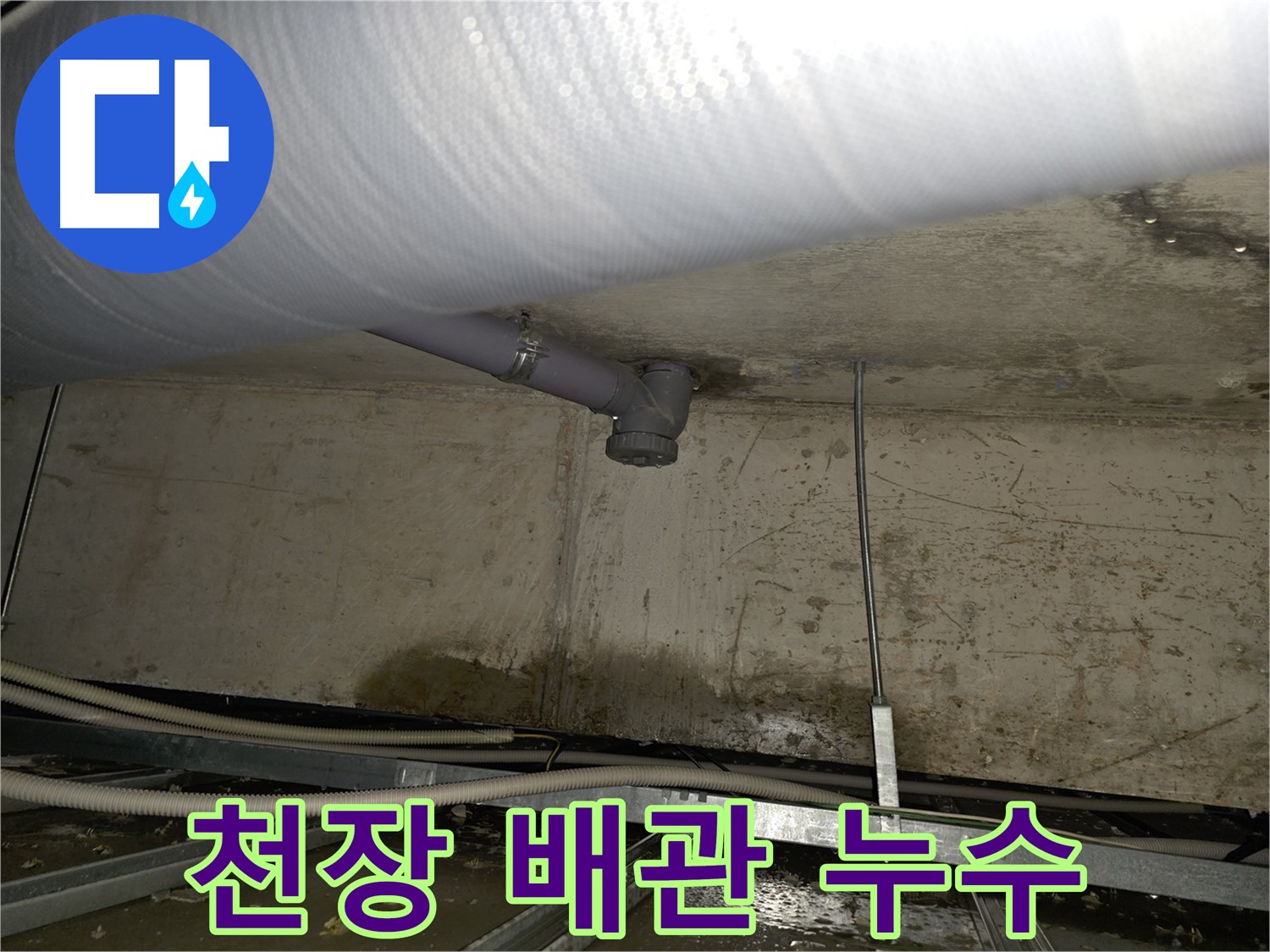 양천구 신정동 천장 배관 누수 - 신속한 누수탐지와 해결 과정
