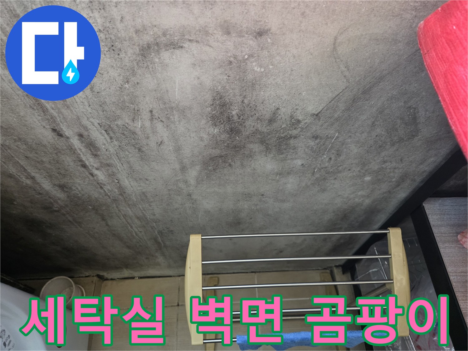 상암동 세탁실-벽면에 발생한 검은색 곰팡이와 오염 상태