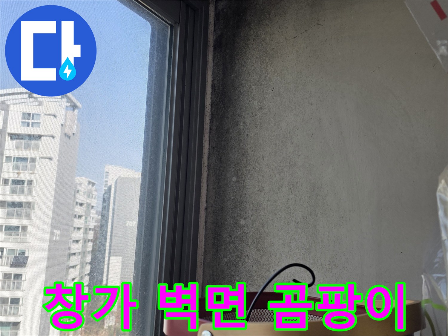 상암동 현장-천장 및 창틀 주변 곰팡이