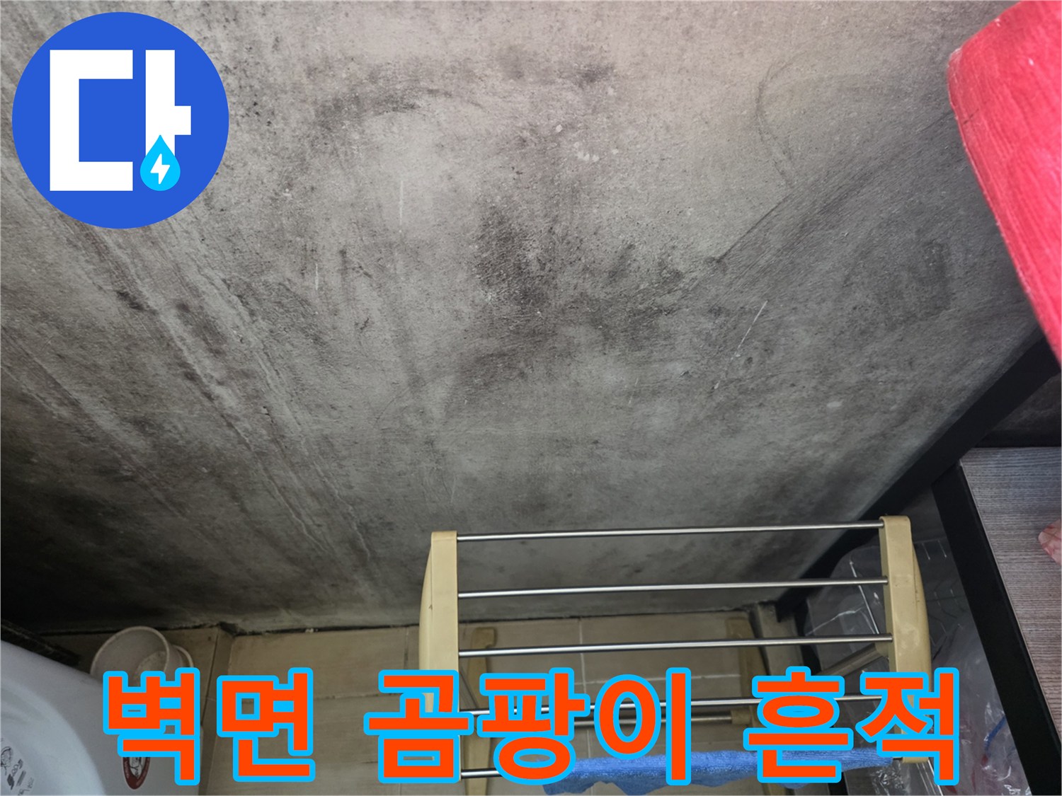 세탁실 내부-곰팡이가 심하게 발생한 벽면 모습