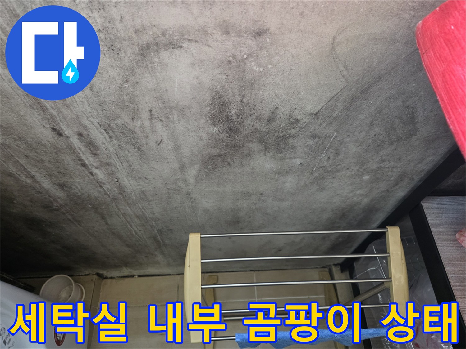 습기 문제로 인해 검게 변색된 세탁실 벽면과 오염 부위