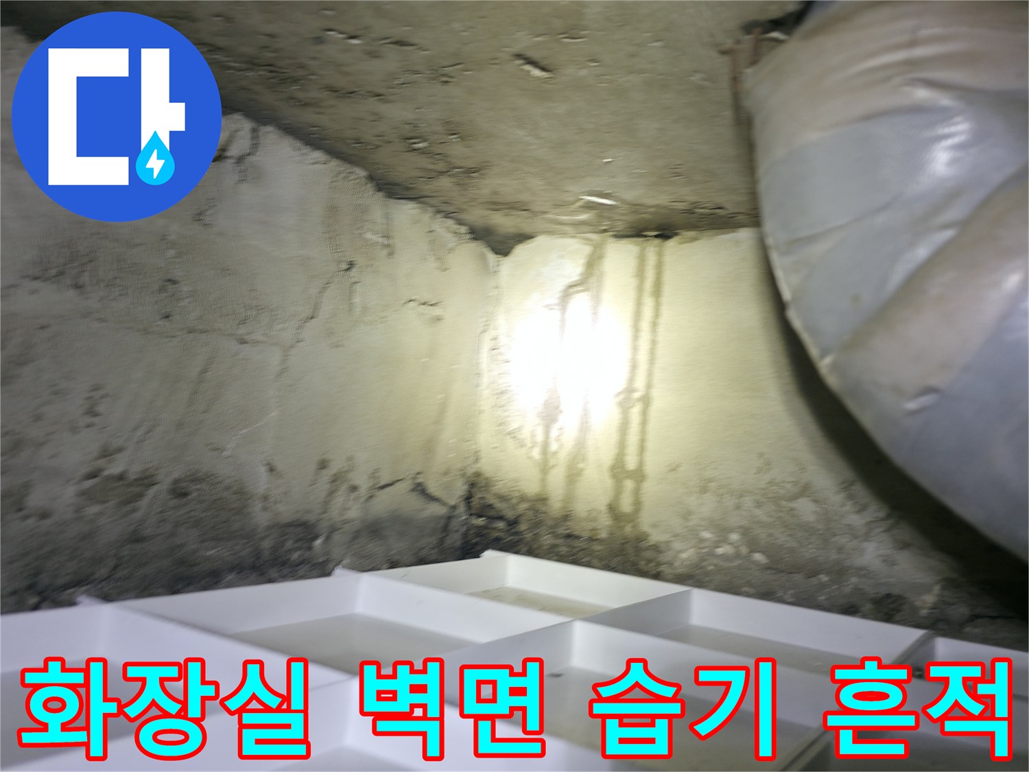 덕양구 화장실-배관 주변에 발생한 물샘 흔적과 습기 상태