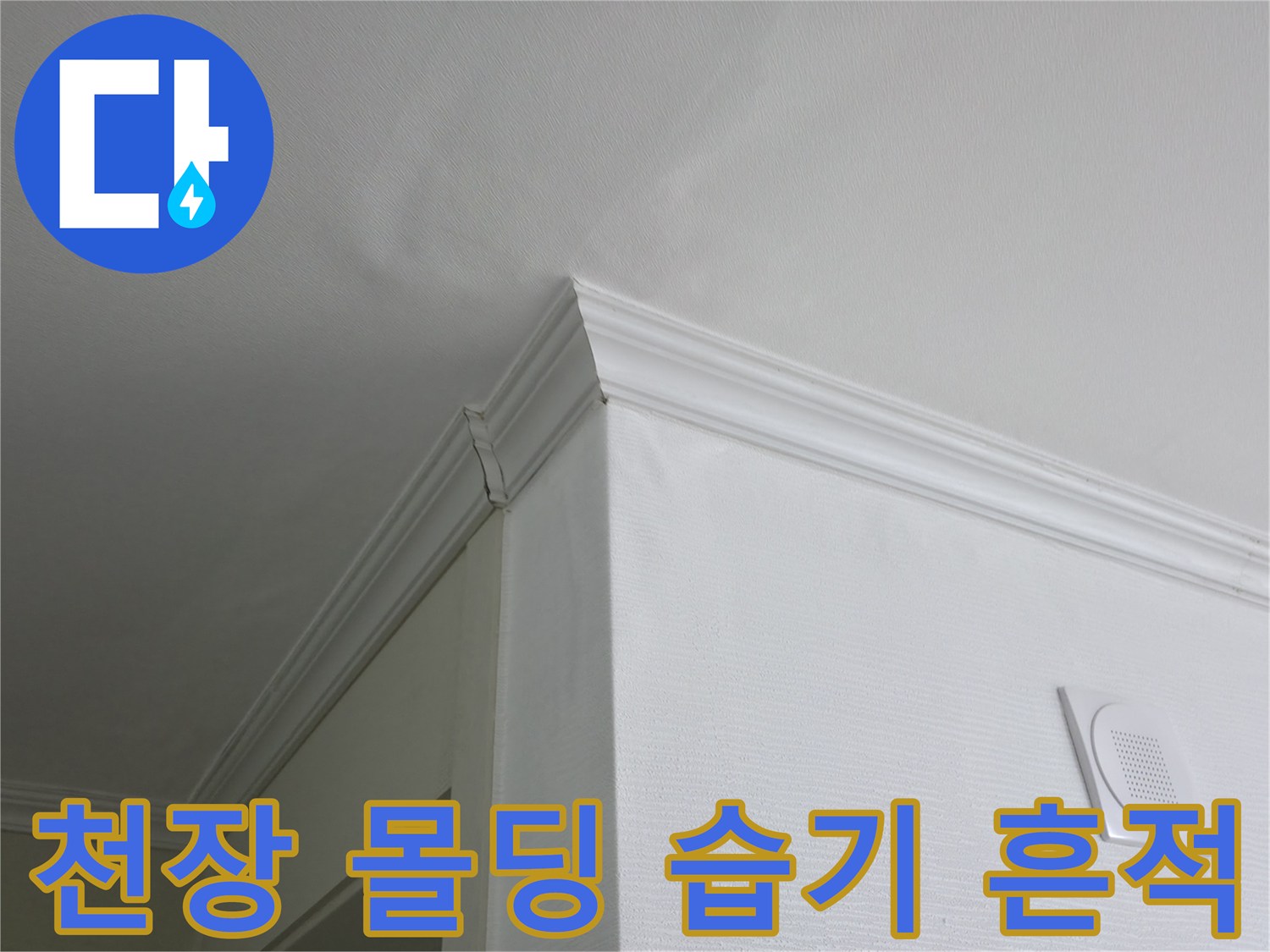 하얀색 천장 몰딩에 나타난 미세한 습기 얼룩