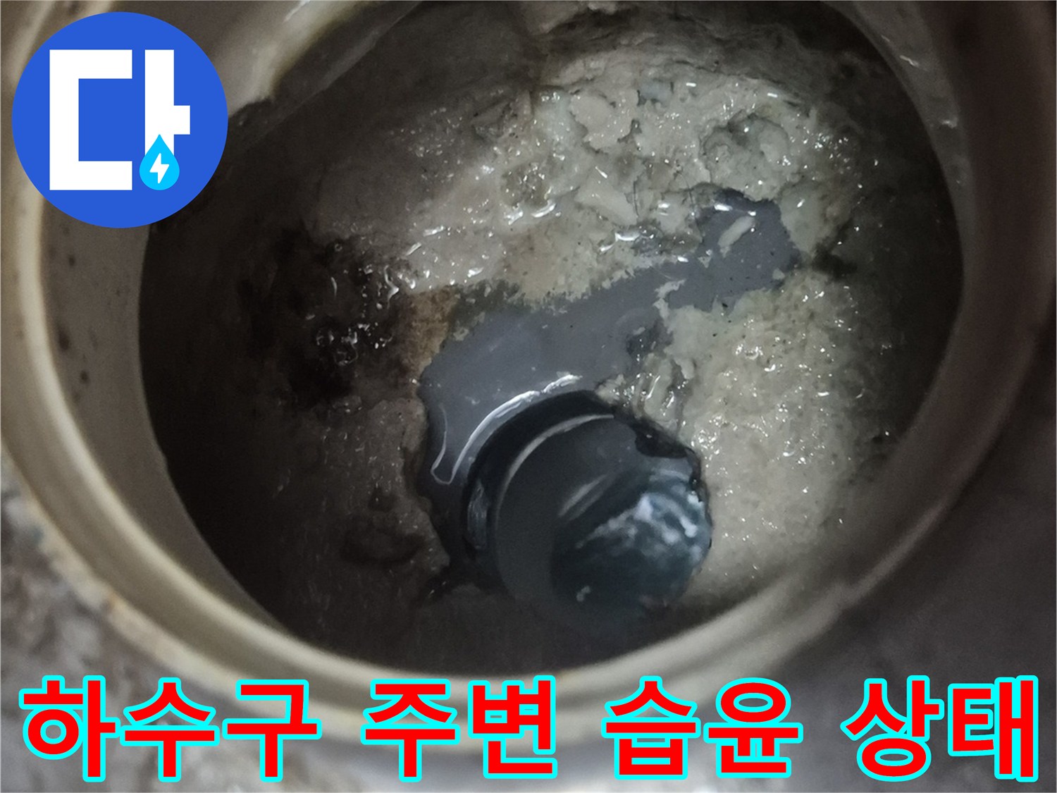 백석동 현장-하수 배관 주변-축축하게 젖은 퇴적물
