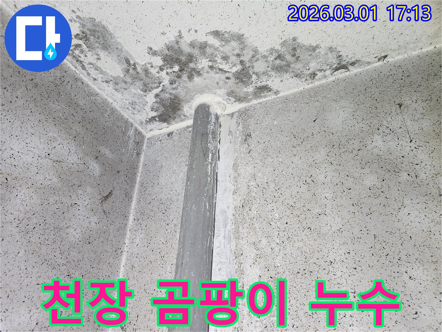 천장 모서리-배관 주변으로 심하게 번진 곰팡이와 누수 흔적
