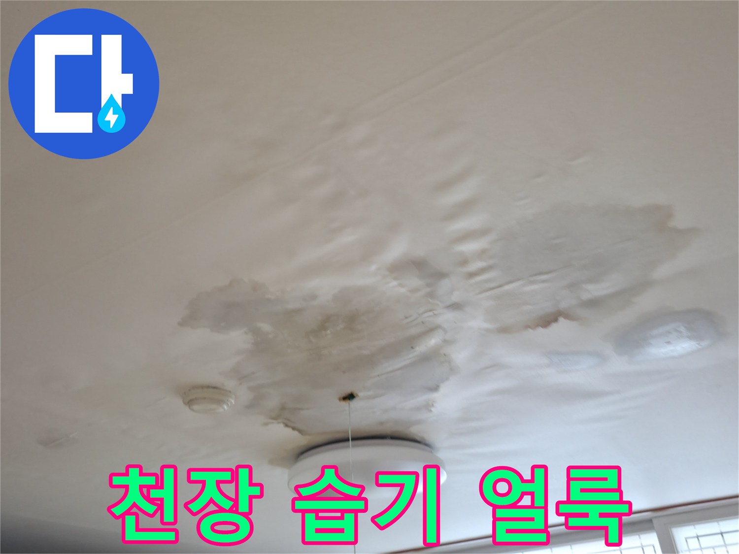 주방 천장 내 물이 스며들어 발생한 변색 부위 상세 사진