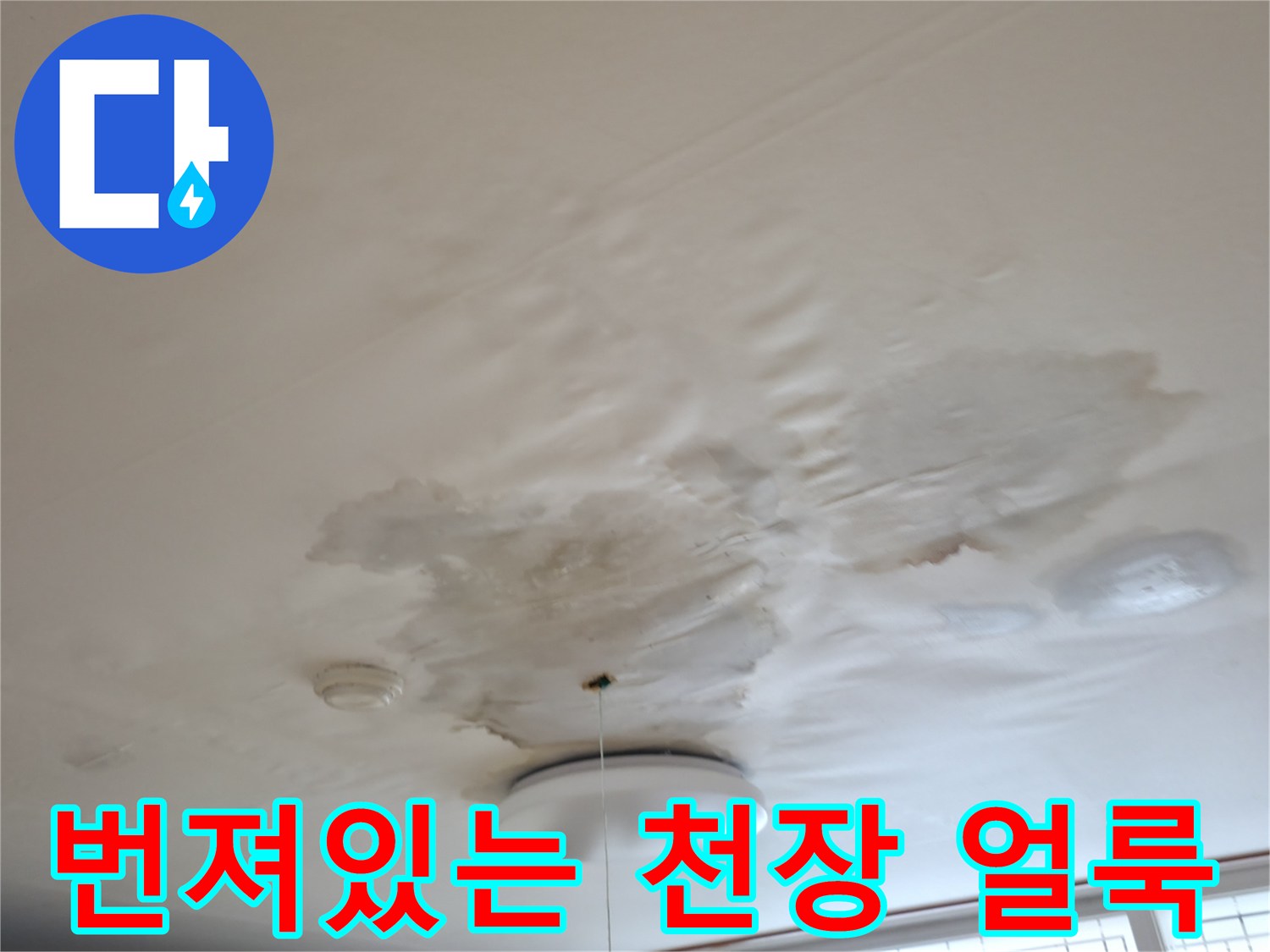 주방 천장에 발생한-습기 침투 및 얼룩 현상