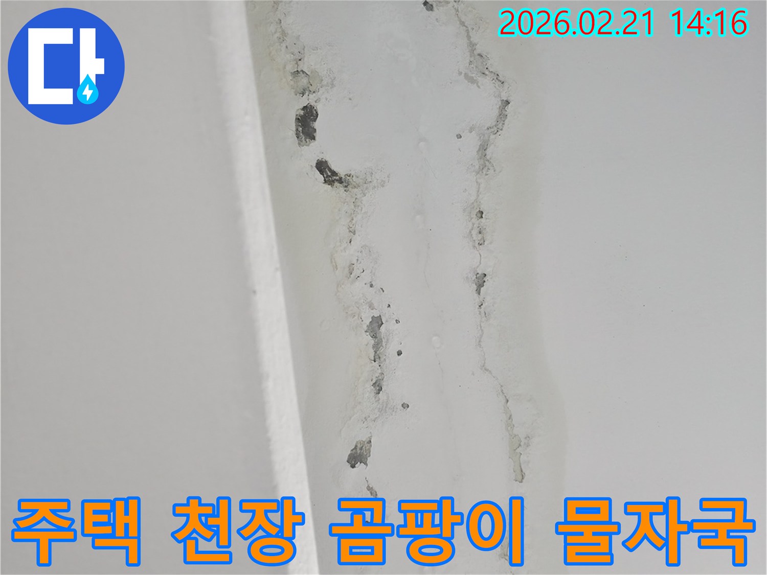 주택-천장-모서리에서-발생한-누수로-인한-페인트-손상과-검은색-곰팡이-얼룩