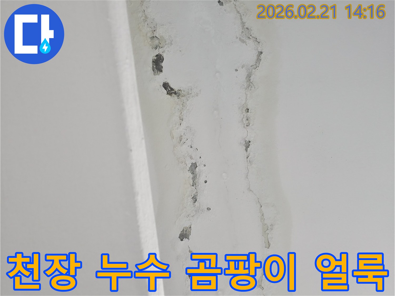 천장-누수로-인해-벽면에-발생한-심각한-곰팡이-및-물자국