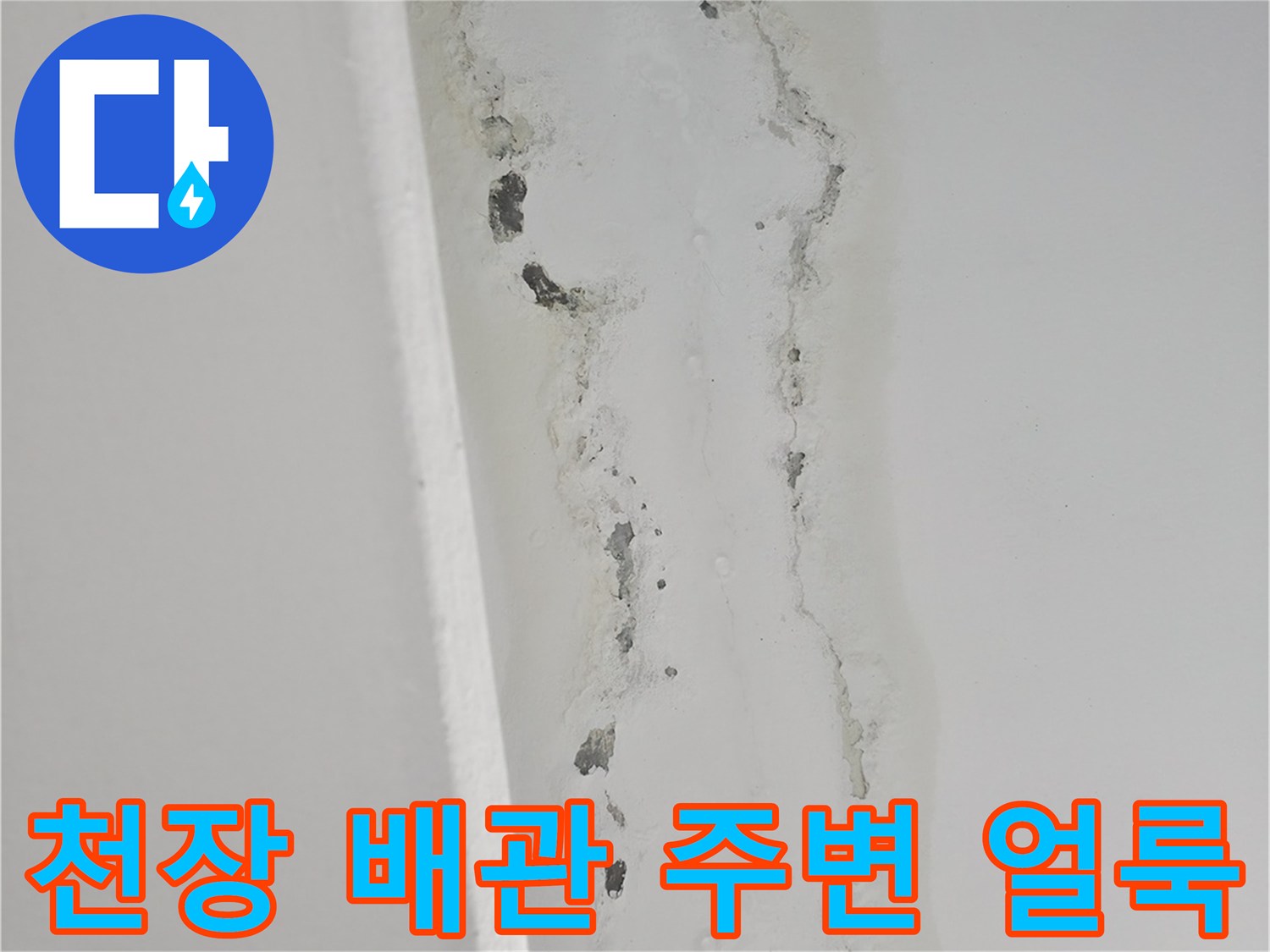 천장-배관-주변의-물샘-흔적과-습기-침투-상태