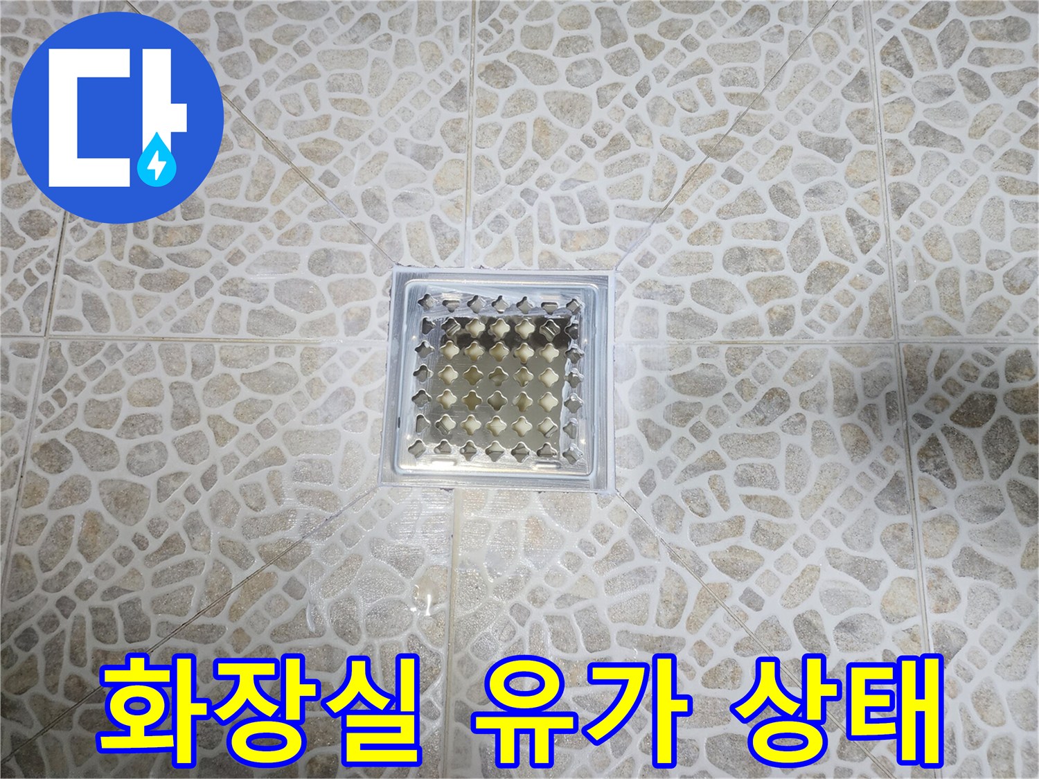 동대문구 현장-화장실 배수구 유가 및 타일 점검
