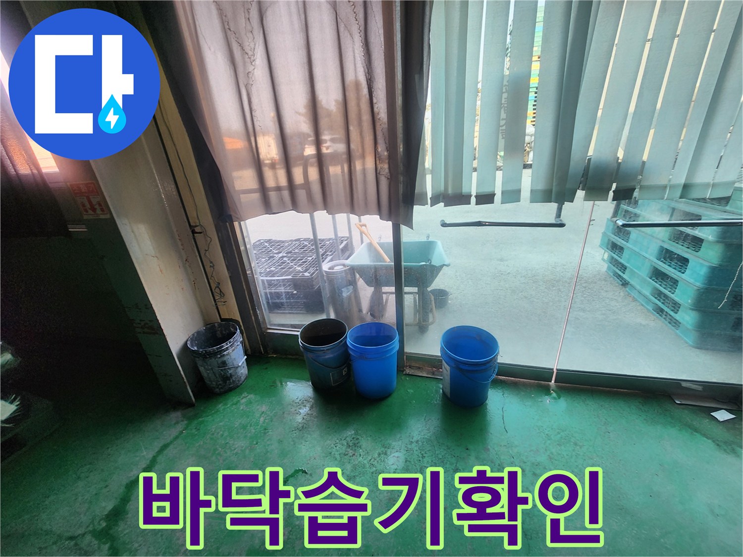 물고임이 발생한 초록색 바닥과 작업용 양동이들입니다.