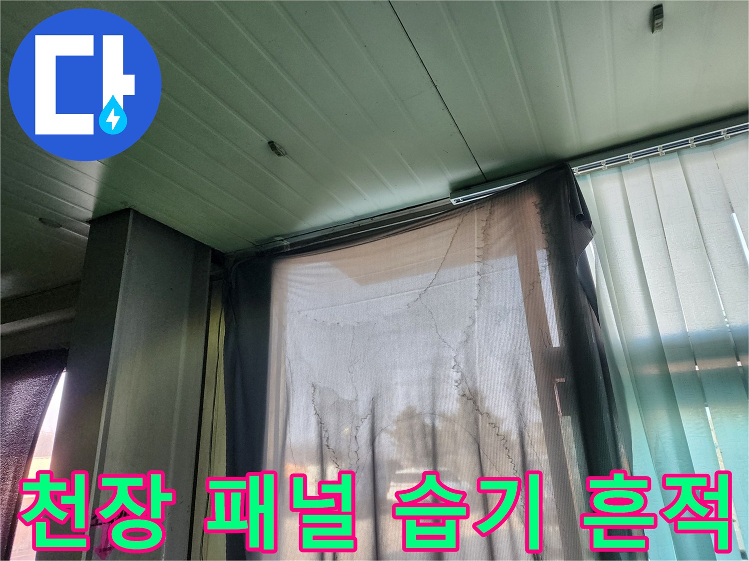양주 상가 사무실의 초록색 천장 패널 부근에 보이는 습기 흔적