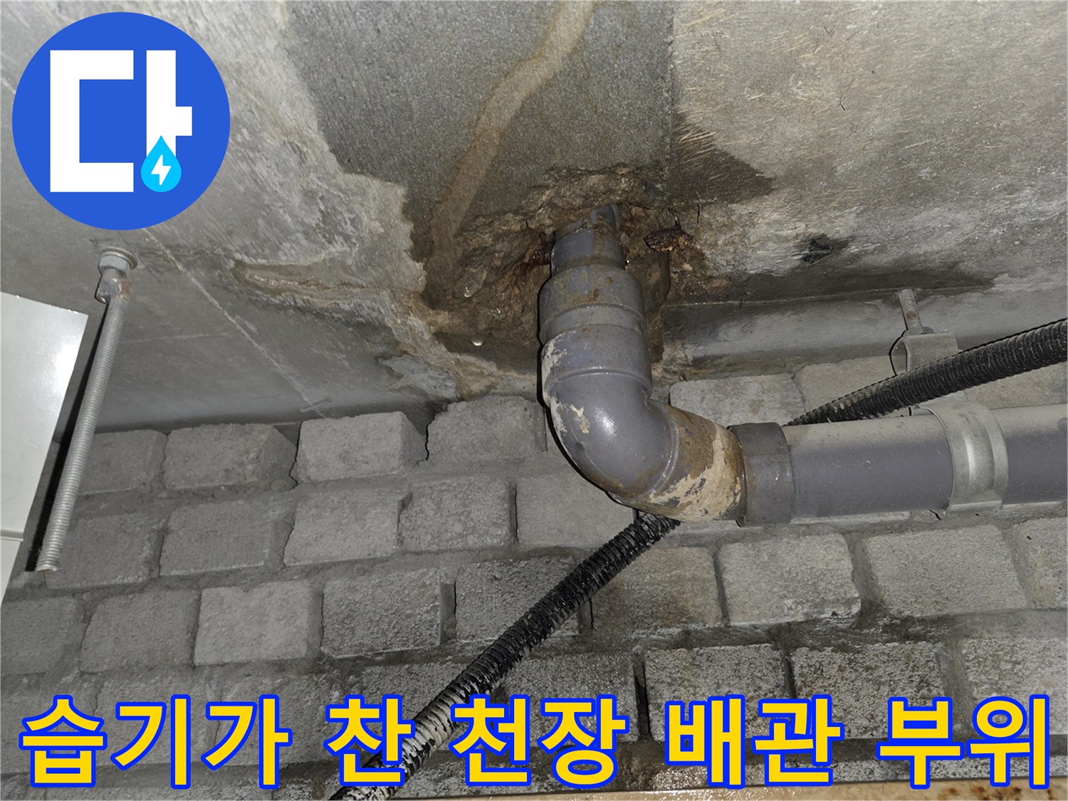 천장-슬라브-배관-연결부의-누수-및-오염