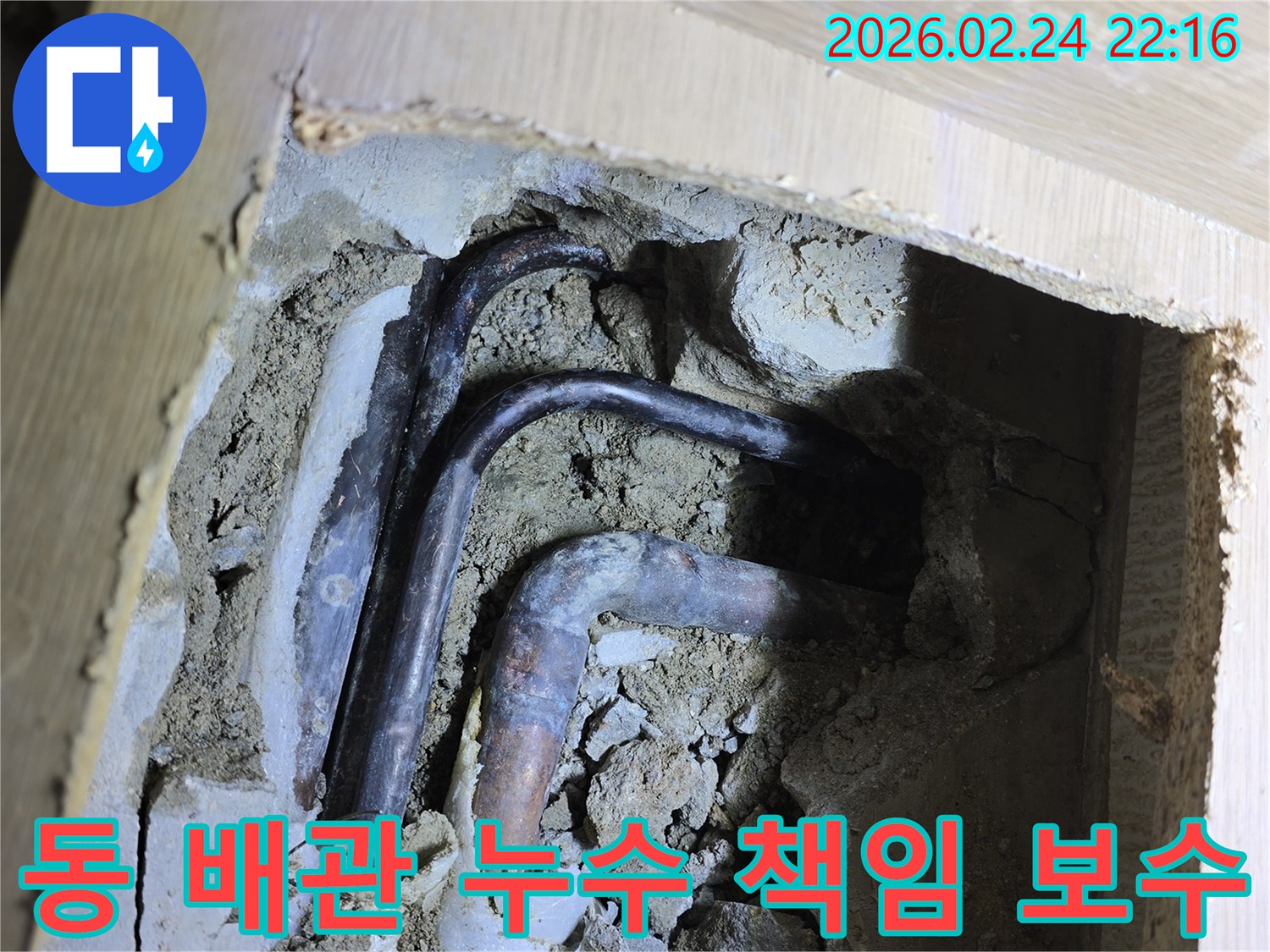 성남 중원구 빌라의-오래된 동 배관에서 발생한-누수를 책임감 있게-정밀 진단하고 보수하는 현장