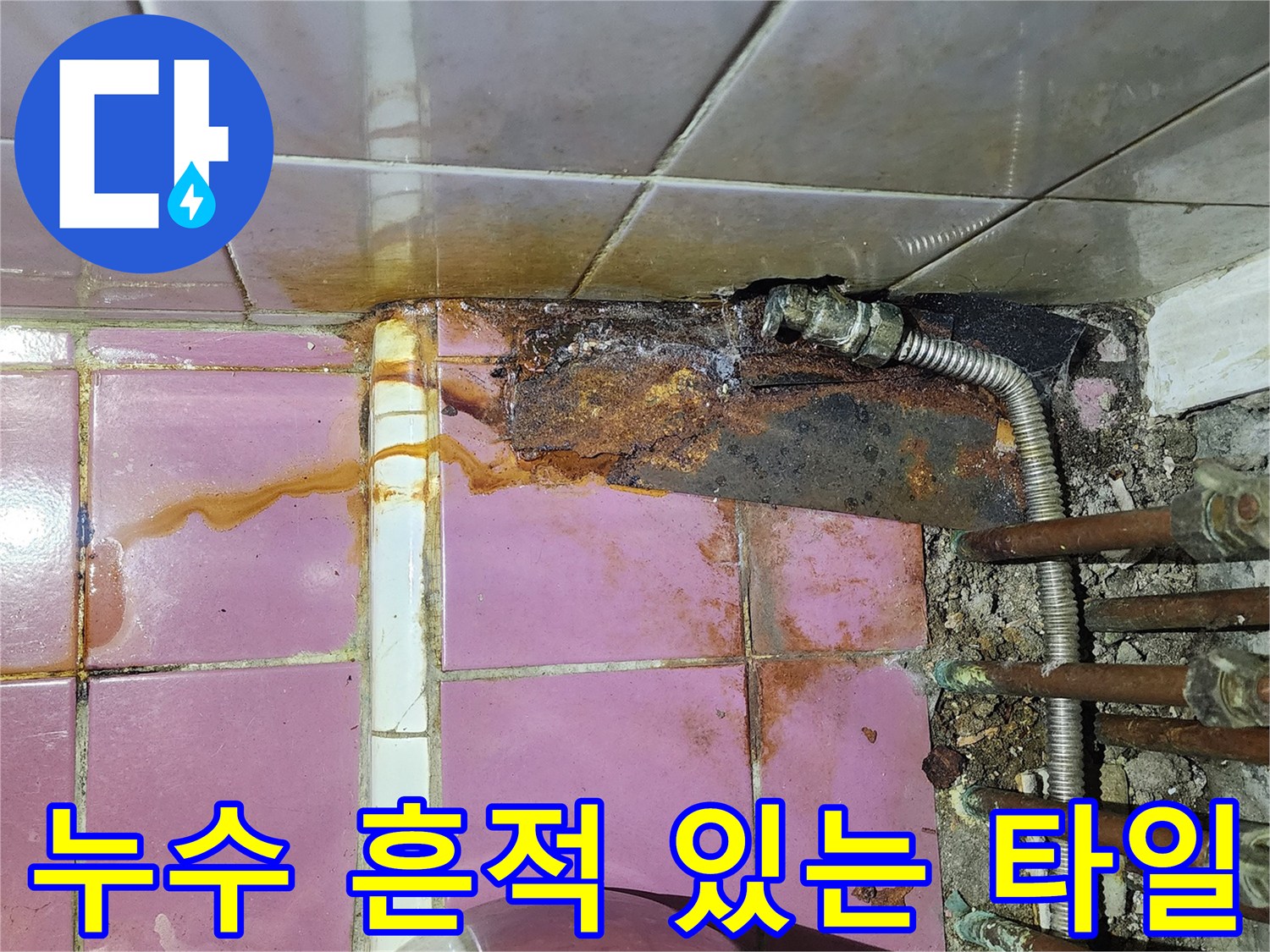 물자국이 남은 분홍색 타일과 부식된 배관의 모습