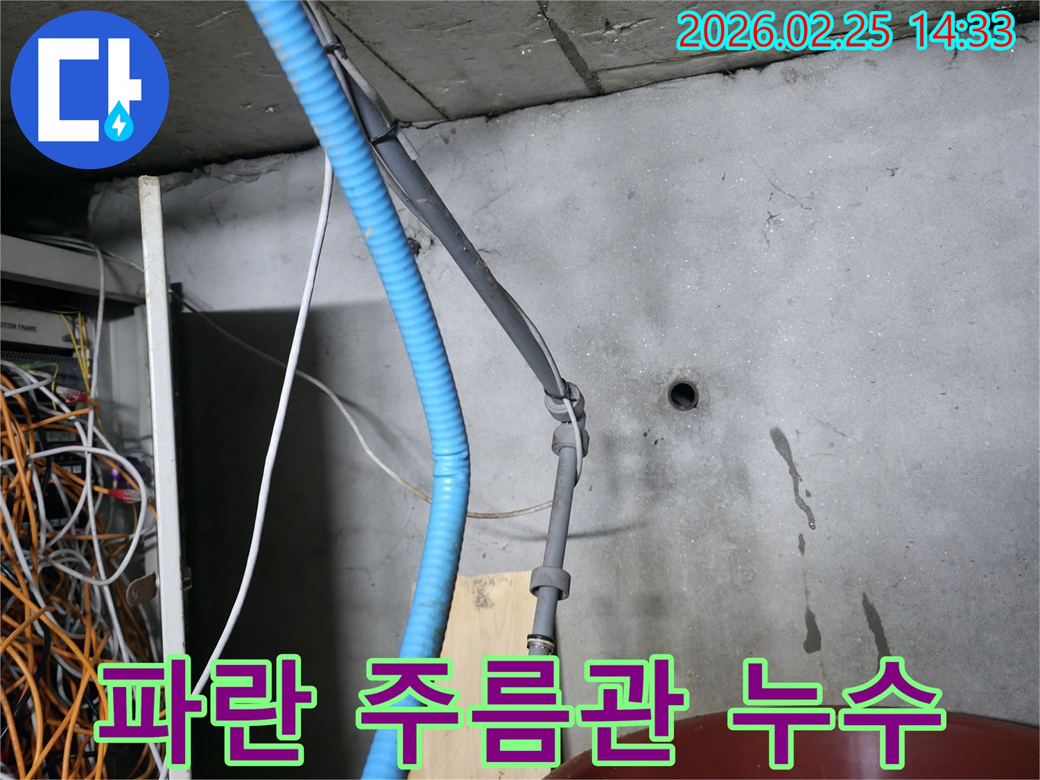 강동구-누수-현장에서-전문가가-파란색-주름관의-손상-여부를-정밀하게-살피는-모습입니다