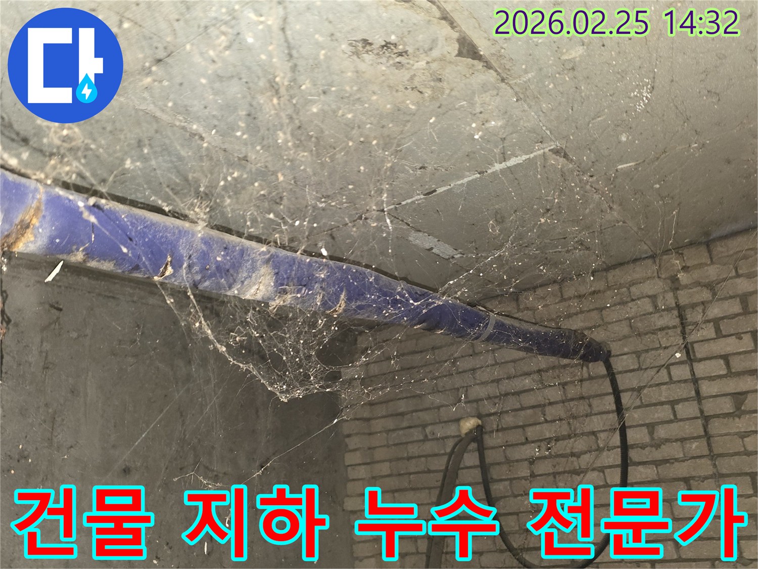 서울 강동구 진황도로 인근 건물-지하 천장에 거미줄이 가득한-누수 원인 파악 전-현장 상황을 담은 사진입니다.