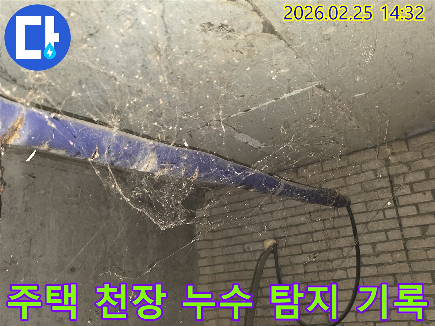 서울 강동구 진황도로 인근 주택-지하 천장에 거미줄이 가득한-누수 탐지 전-현장 상황을 담은 사진입니다.