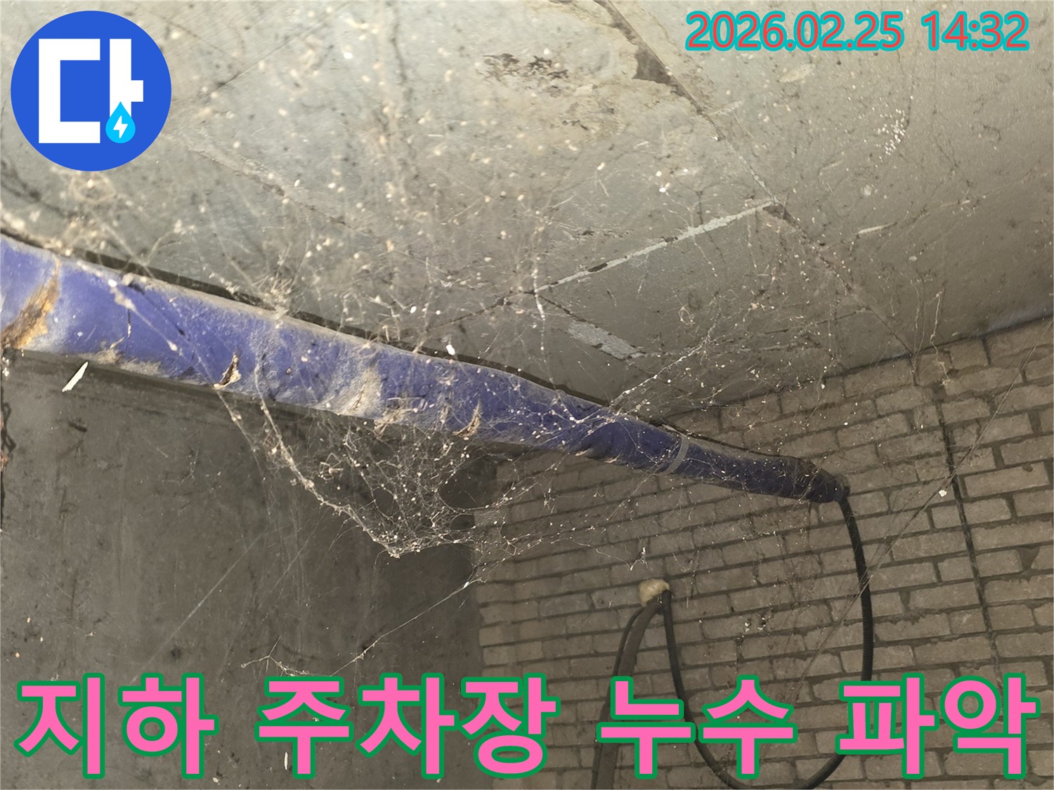 서울 강동구 진황도로 인근-지하 주차장 천장에-거미줄과 먼지가 가득한-누수 원인 파악 전-현장 상황을 담은 사진입니다.
