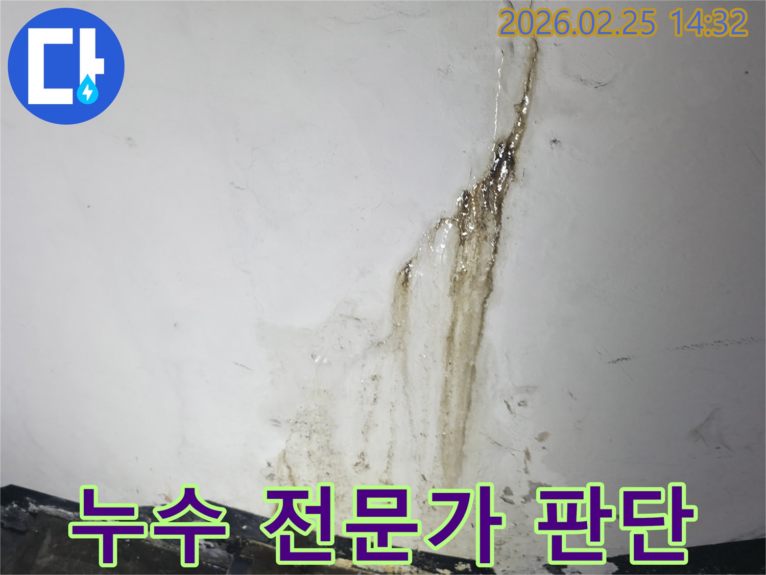 심각하게-오염되고-훼손된-누수 현장을-정밀하게-진단하는-누수 전문가의-모습