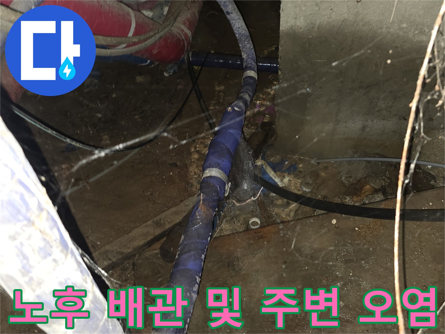 오염된 배관 주위의 거미줄과 습한 환경