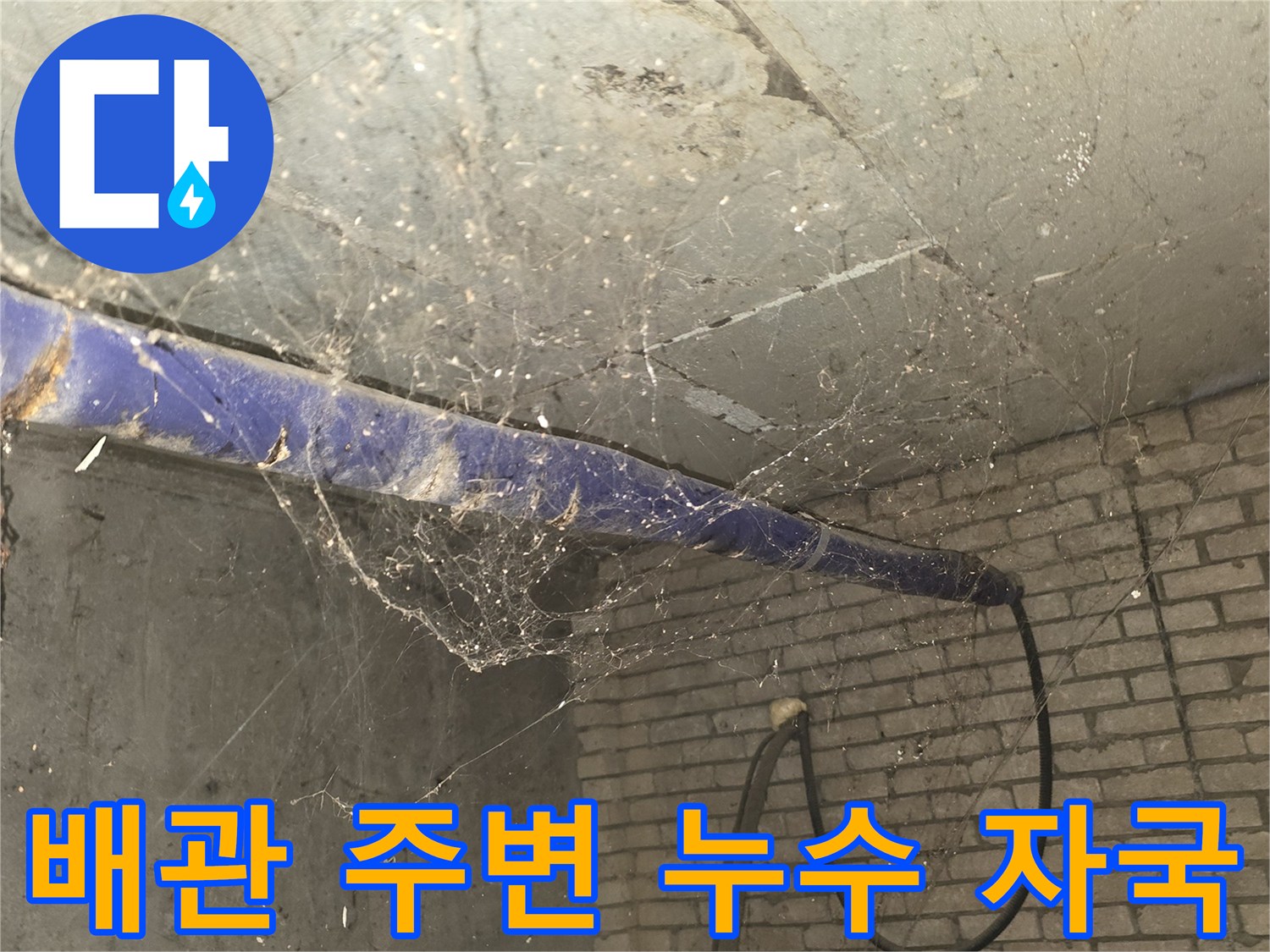천장 배관재-배관을 따라 발생한 누수 흔적과 천장 오염 부위