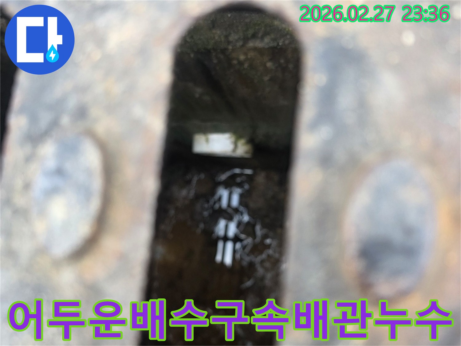 녹슨-철제-배수구-아래-어두운-물속에-잠긴-하얀-배관이-보이는-누수-현장-사진