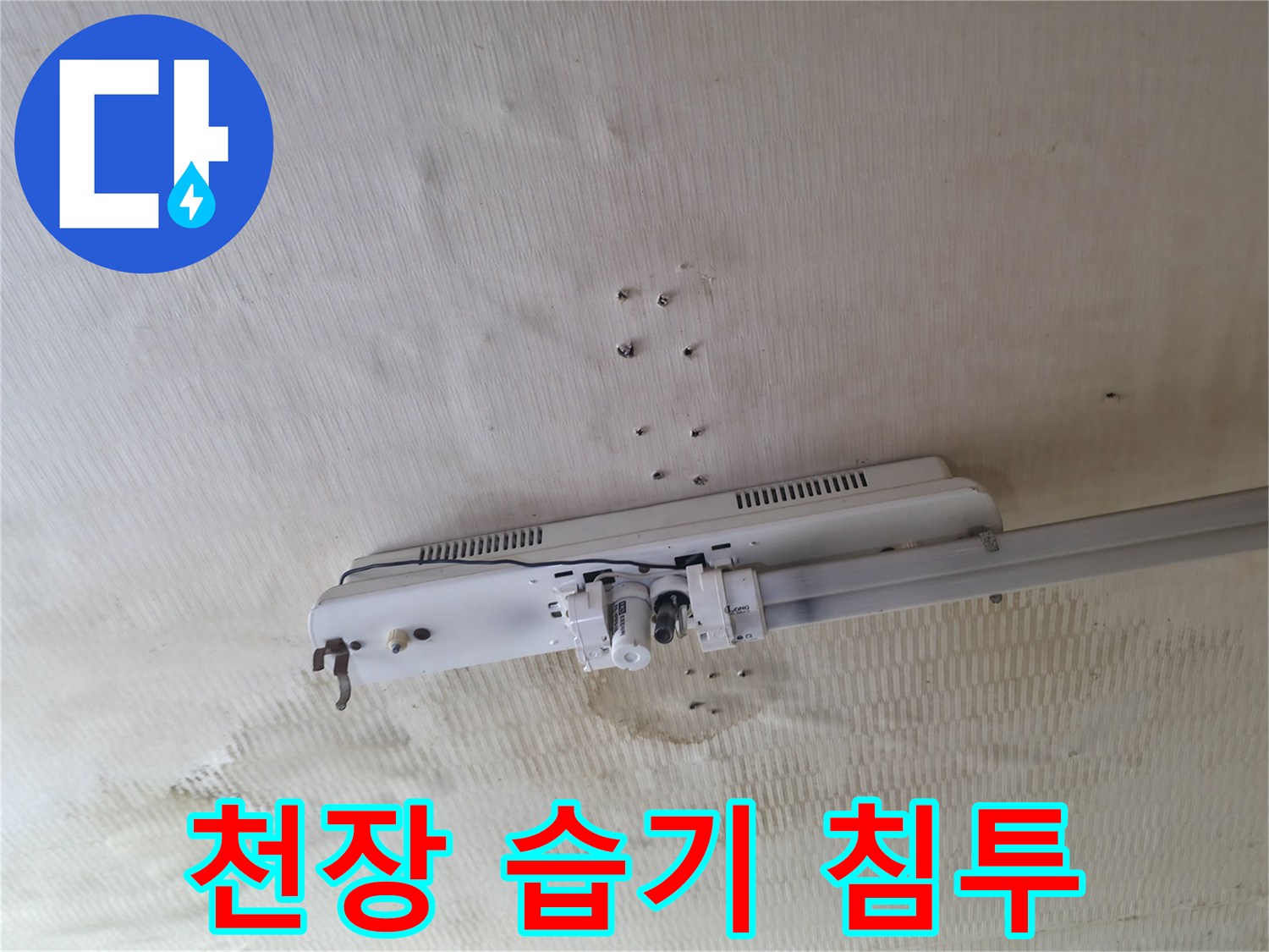아랫집 천장지-습기 침투로 인해 얼룩진 매립등 주변 모습