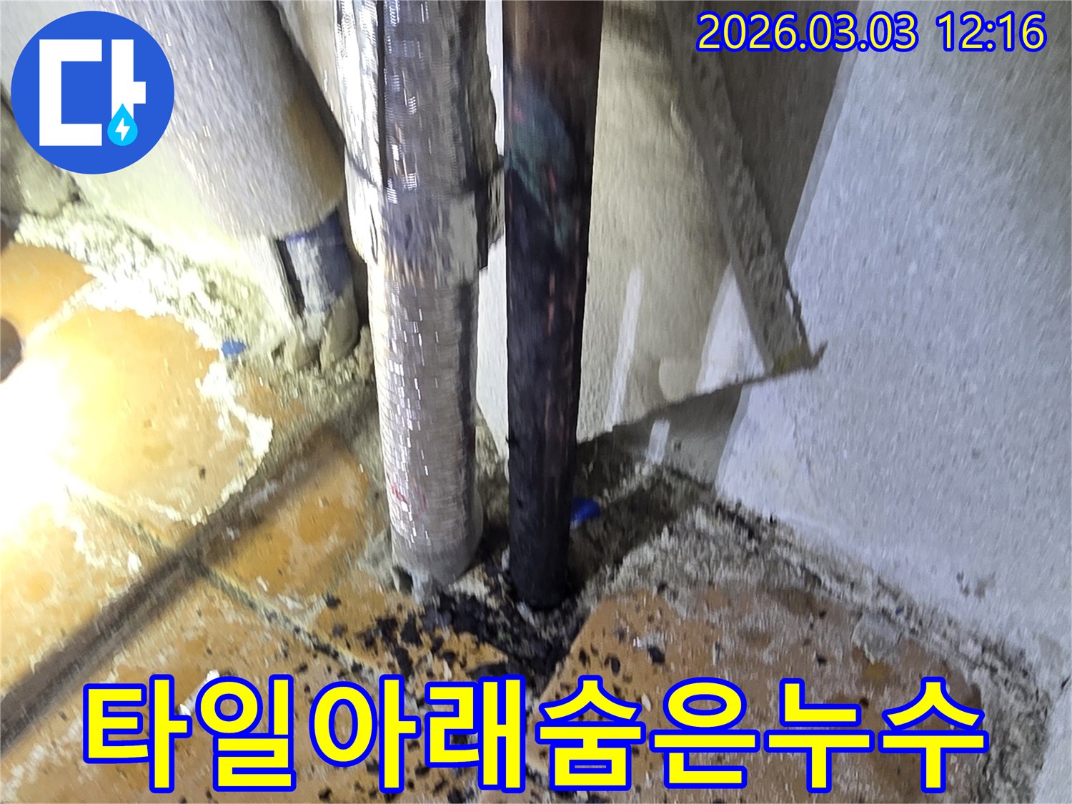 양주-광적면-주택의-타일-아래-숨겨진-누수를-찾아내기-위해-전문가가-정밀-탐지-장비를-활용하여-현장을-점검하는-모습