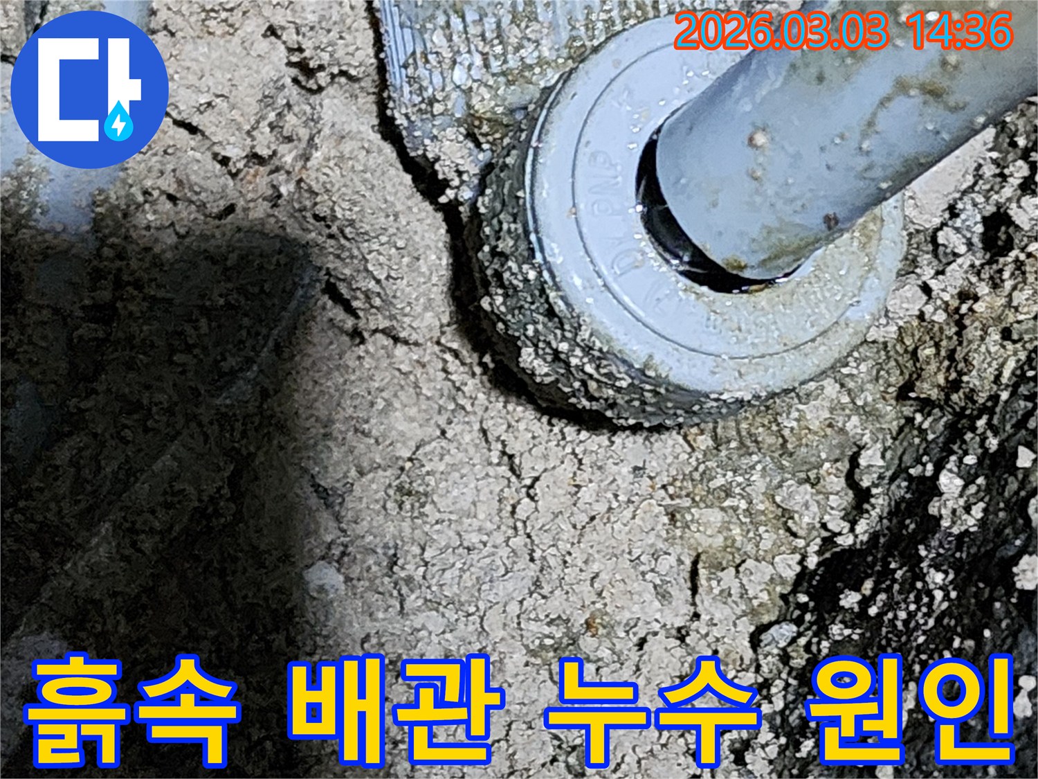 누수탐지-전문가가-찾아낸-지하-배관의-미세한-누수-지점