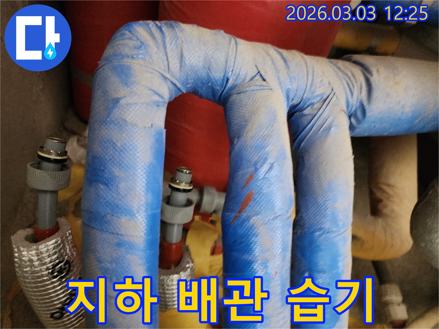 파주-상지석동-누수-현장에서-지하-배관-누수로-인한-습기-문제를-진단하는-모습