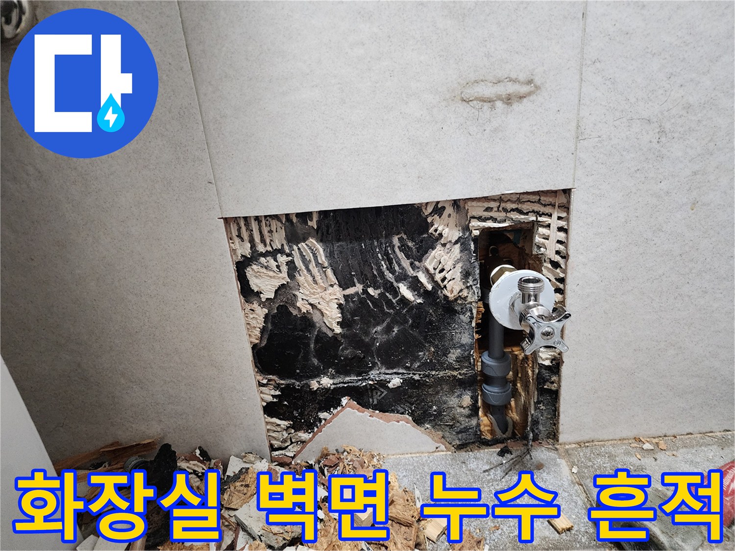 화장실 타일 제거 후 드러난 배관 주변의 검은 곰팡이와 습기 상태