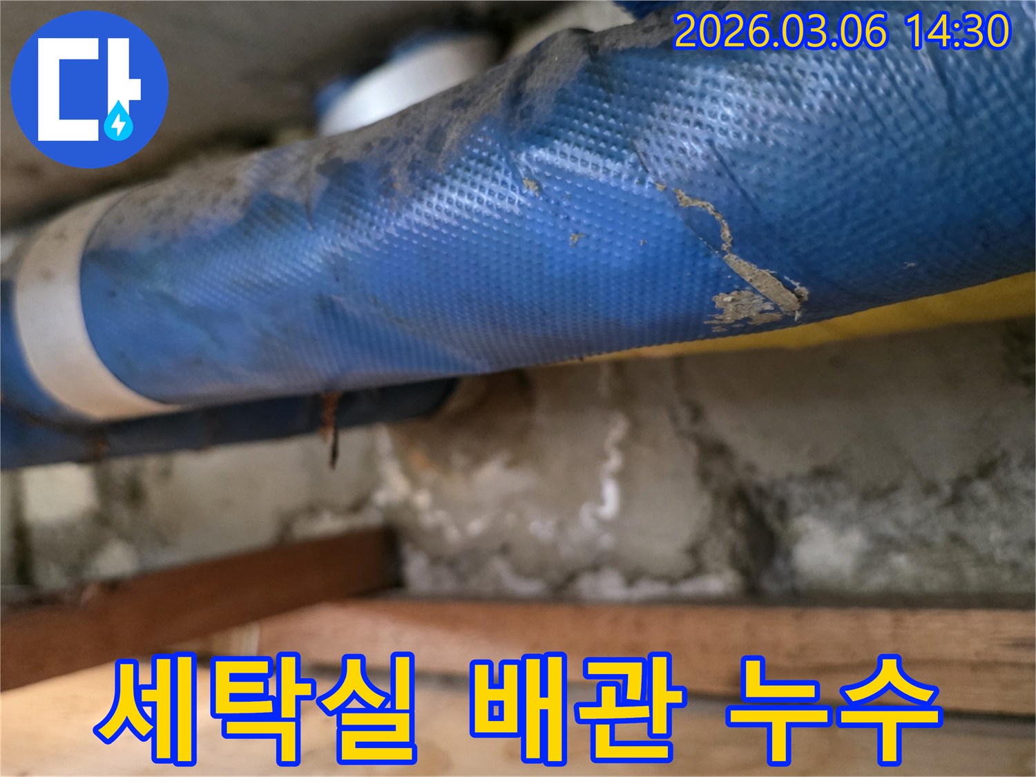 아파트 세탁실 하부-파란색 배관과-젖은 콘크리트 벽면-그리고 나무 지지대를-꼼꼼히 점검하는 모습