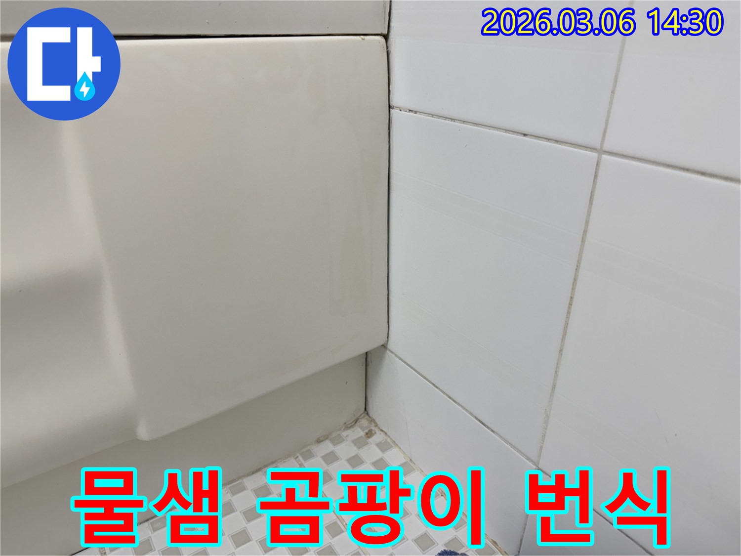 욕실-벽면과-욕조-사이의-틈새에-검은색-곰팡이가-광범위하게-번식한-모습을-보여주며-지속적인-물샘-현상을-시사하는-이미지