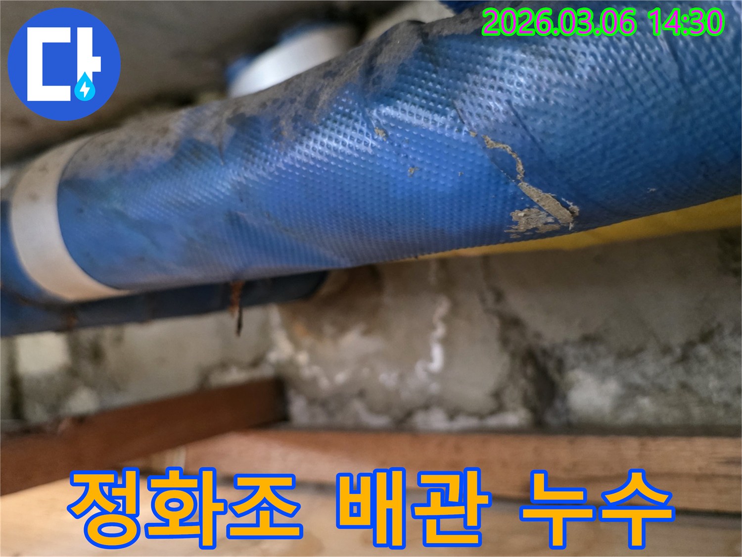 주택 정화조 하부-파란색 배관과-젖은 콘크리트 벽면-그리고 나무 지지대를-꼼꼼히 점검하는 모습