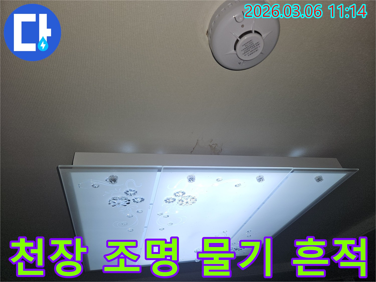 천장 조명 아래 벽지에 스며든 물기 흔적을-전문가가 세심하게 확인하며 누수 상황을 분석하는 장면